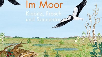 Buchcover: Im Moor