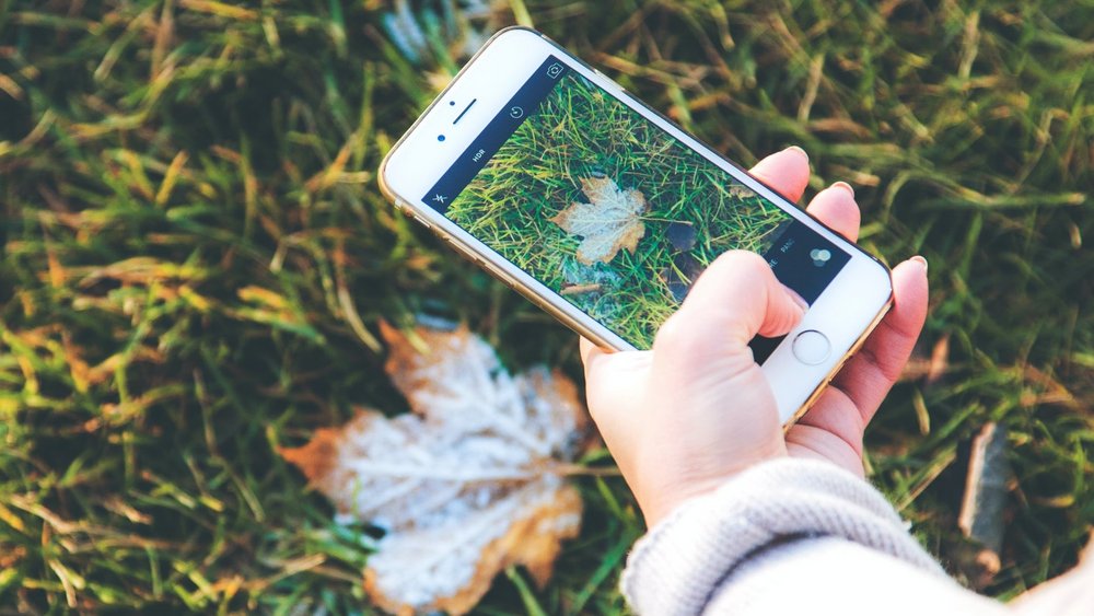 In Nahaufnahme ist eine Hand zu sehen, die ein Smartphone hält. Am Smartphone ist die Kamerafunktion geöffnet, mit dem Smartphone wird gerade ein herbstliches Blatt auf einer grünen Wiese fotografiert.
