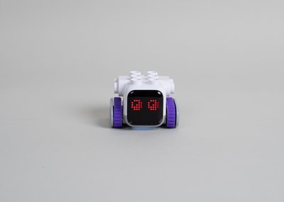 Der Lernroboter Botzee