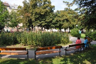 Haydnpark am Gaudenzdorfer Gürtel