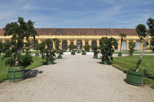 Orangerie  im Schlosspark Schönbrunn