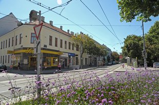 Hoßplatz in Donaufeld