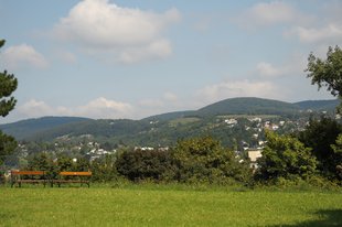 Vogelsangberg in Grinzing
