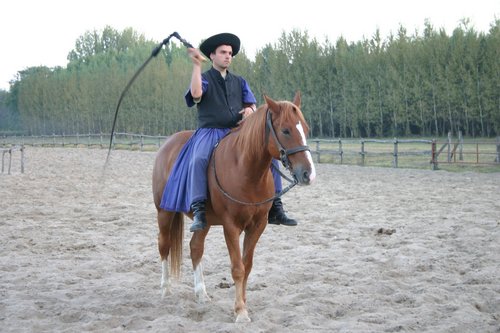 Csiko: ungarischer Pferdehirt
