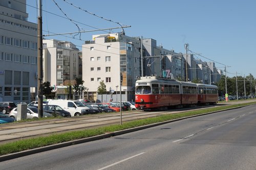 Straßenbahn: Linie 31