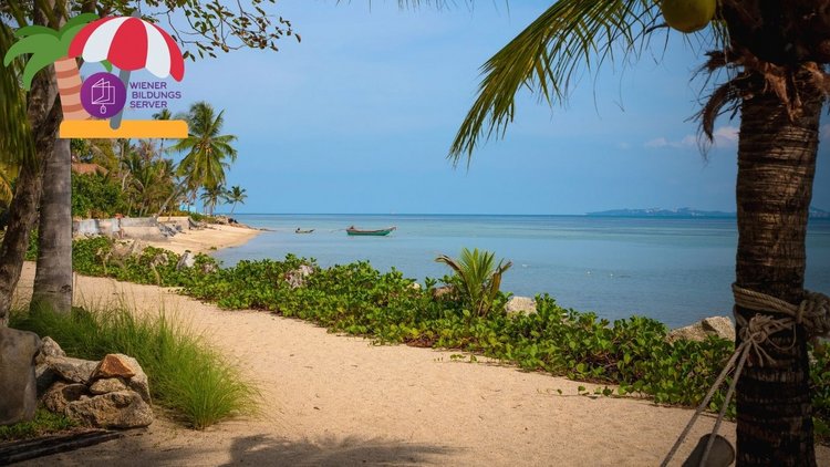Foto vom Strand, im Hintergrund ist das blaue Meer zu sehen. Links und rechts im Vordergrund am Bildrand sind Palmen.