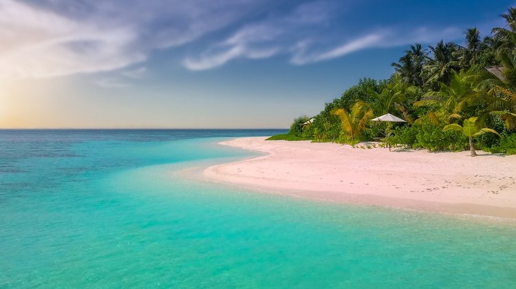 Foto eines traumhaften Sandstrandes mit Palmen und Bäumen direkt am kristallklaren Meer bei blauem Himmel.