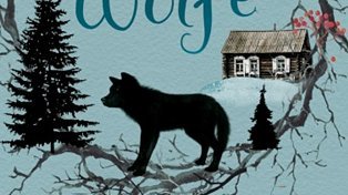 Buchcover: Feo und die Wölfe