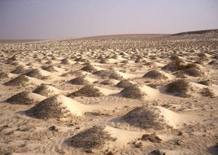 Wüste: Sanddünen