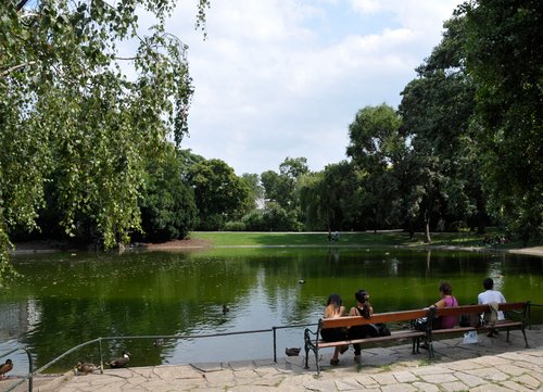 Teich im Stadtpark am Parkring