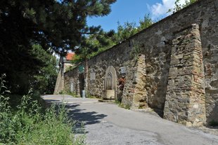 Am Leopoldsberg (Gehweg entlang der alten Burgmauer)