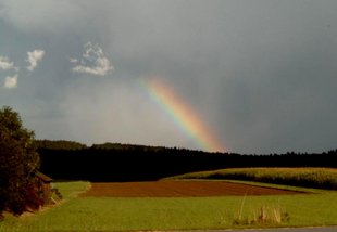 Regenbogen