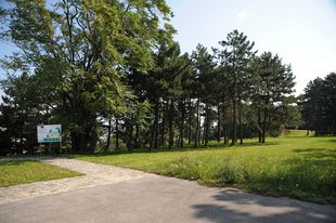 Hugo-Wolf-Park an der Krottenbachstraße
