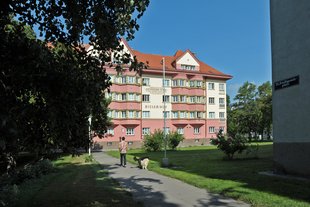Gemeindebau Bielerhof