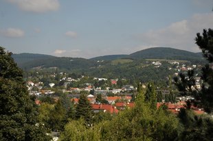 Vogelsangberg in Grinzing
