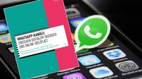 Ein Smartphone mit einem hervorgehobenen WhatsApp-Logo, links ist das Cover einer Studie der Landesanstalt für Medien NRW zu sehen