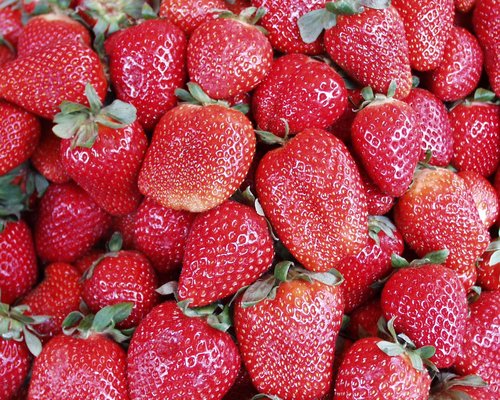 Erdbeeren: Früchte
