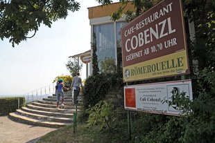 Am Cobenzl (Restaurant)