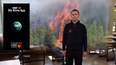 Links ist der Startschirm der WDR Klima App zu sehen, im Hintergrund ein Mann vor einem brennenden Wald
