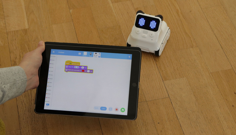 Eine Hand hält ein Tablet, darauf ist eine grafische Programmieroberfläche zu sehen. Im Hintergrund am Boden ist der kleine, weiße Codey Rocky-Roboter zu sehen.