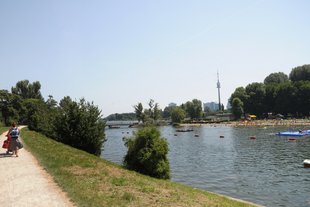 An der oberen alten Donau